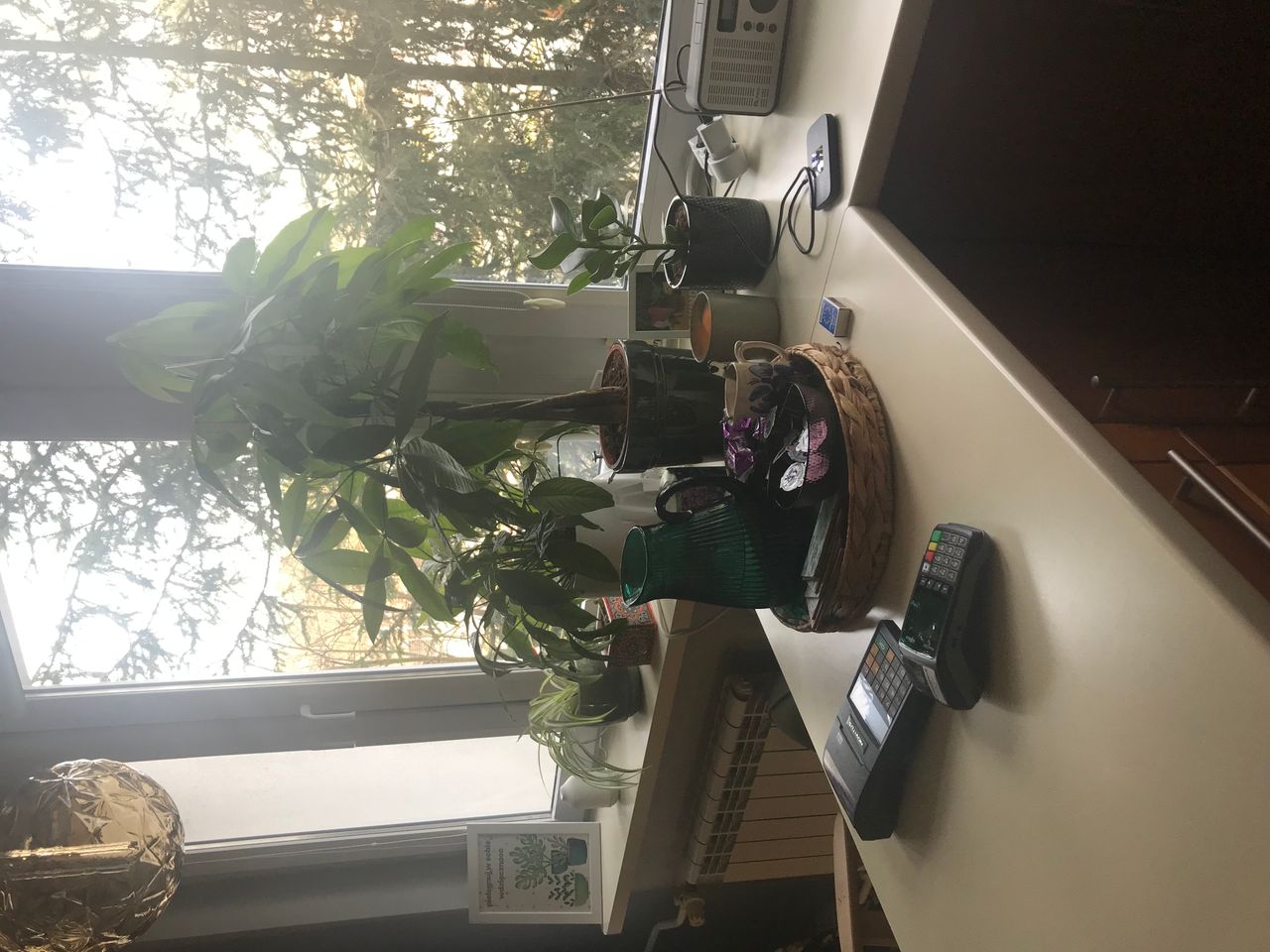 Magdalena Wysokińska-1