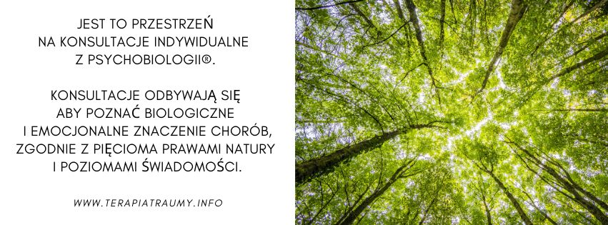 Dorota Trzmielewska-5