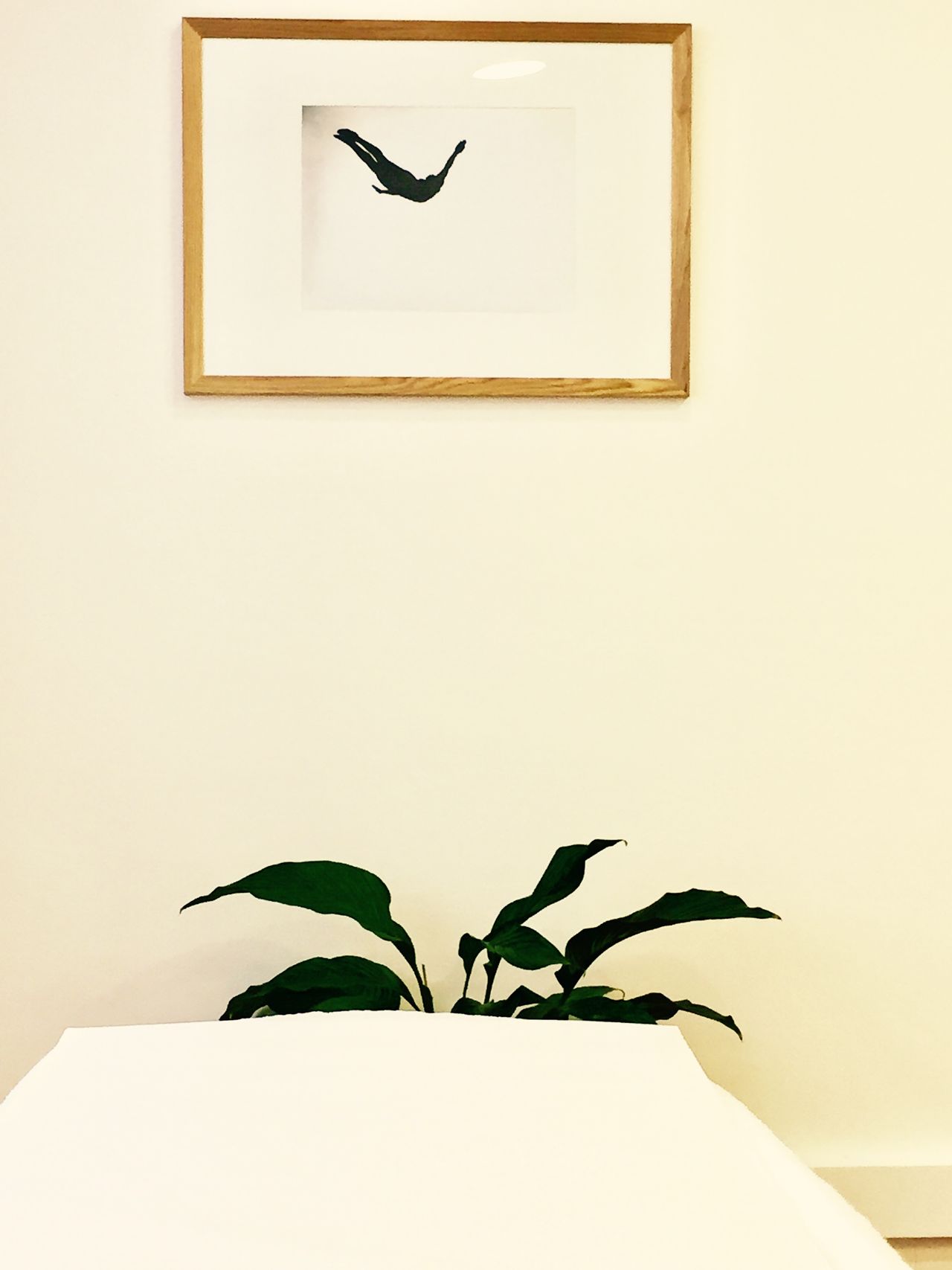 Ainhoa Goenaga Alzuri-8