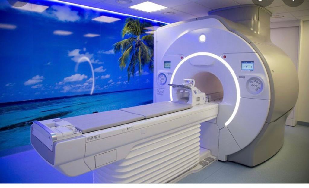 Maria Luisa De Cicco-5