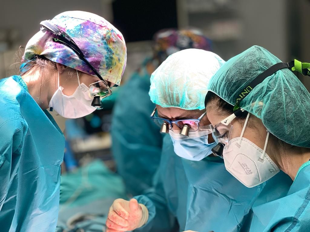 Celia Sánchez Gallego-Albertos-15