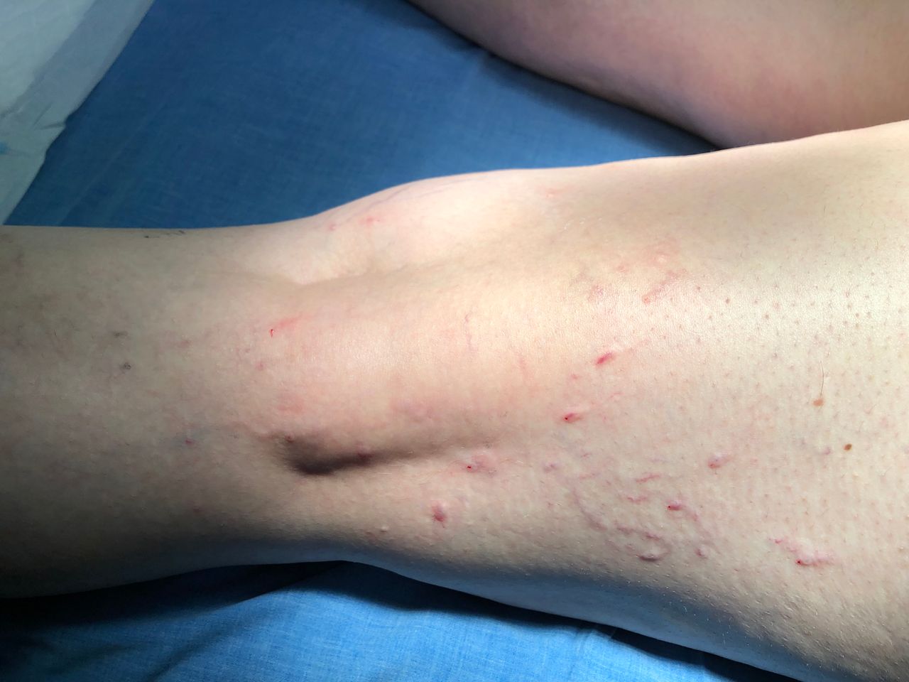 Antoni Puig Domènech-5