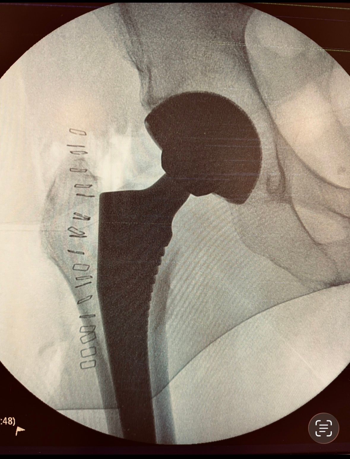 Daniele Passaretti-25