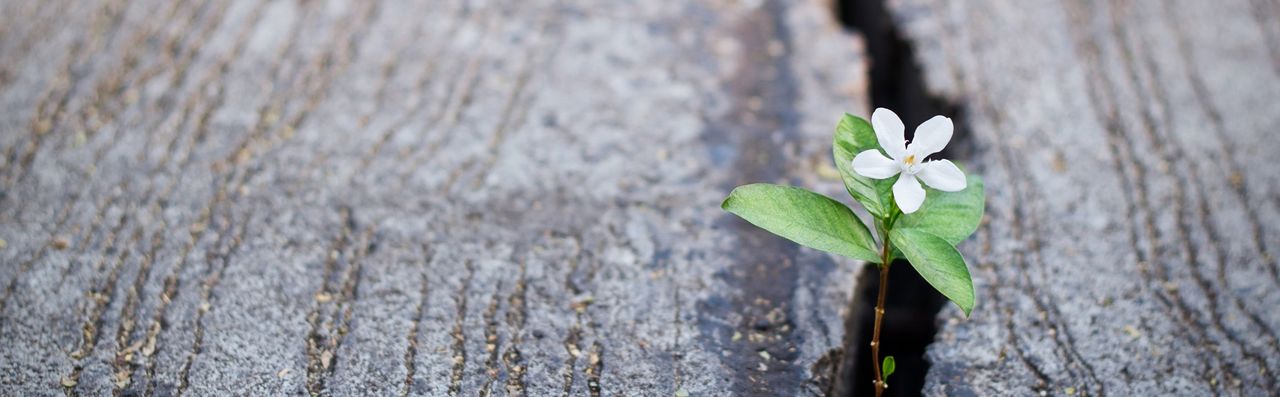 Emilia Filipkowska-0