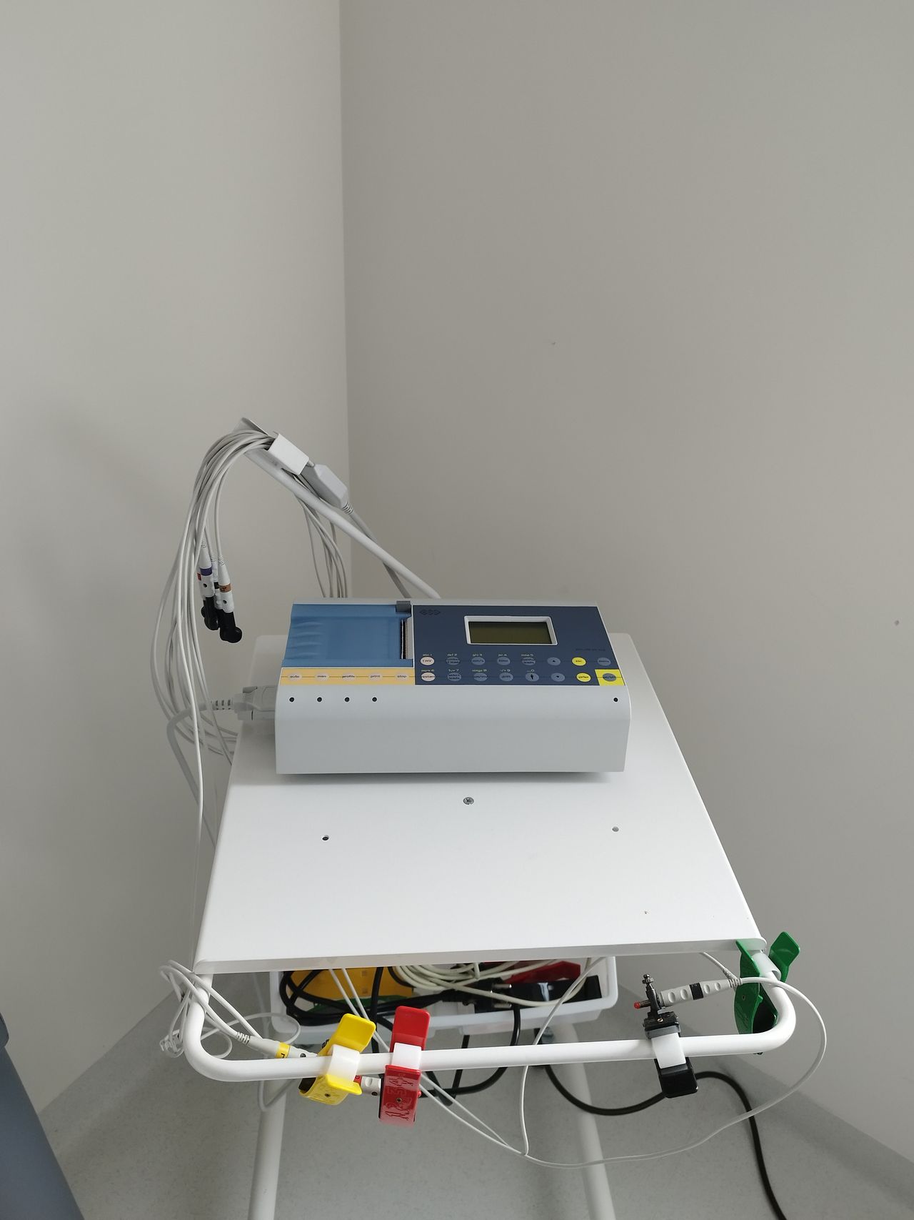 Joanna Magdalena Kohut-6