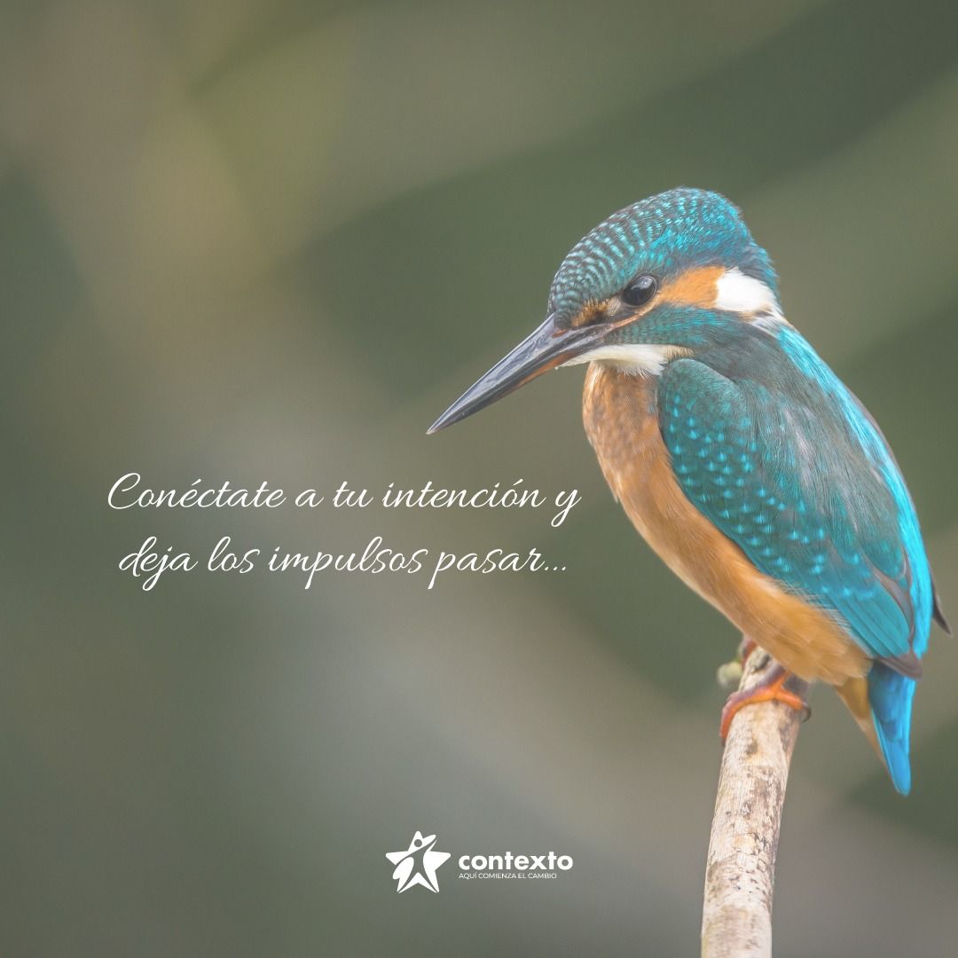 Acerina Ramos Amador-5