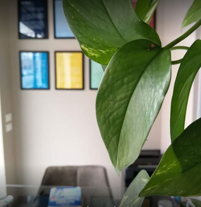 Alessandra Antonioli-0