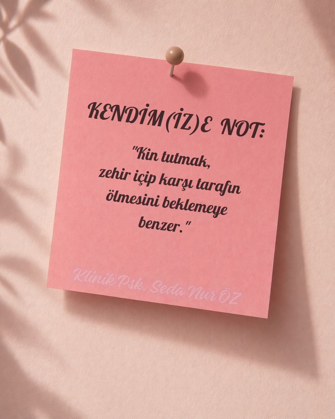 Seda Nur Öz-6