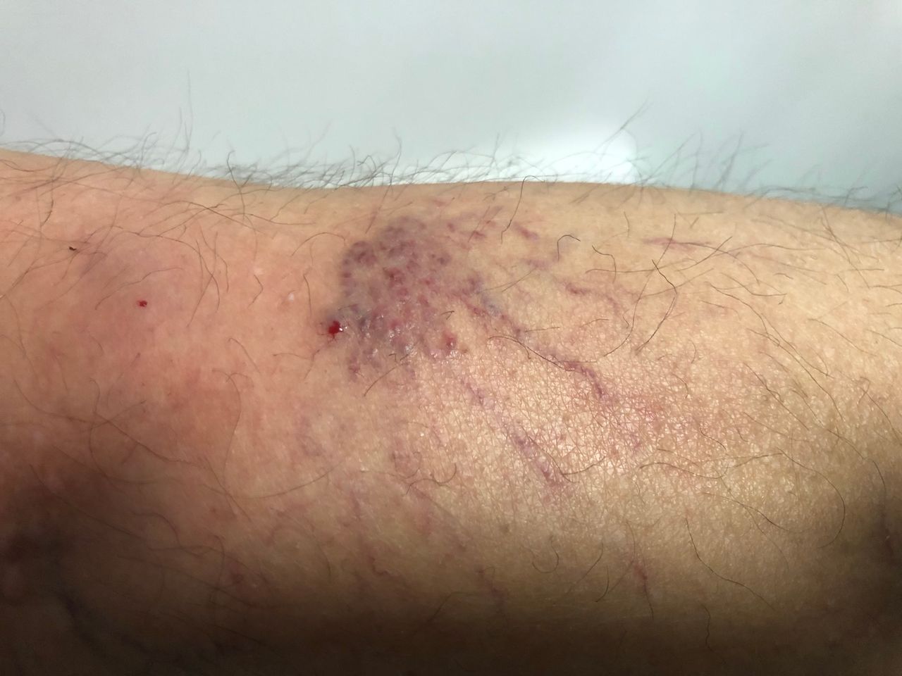 Wojciech Mrowiecki-9