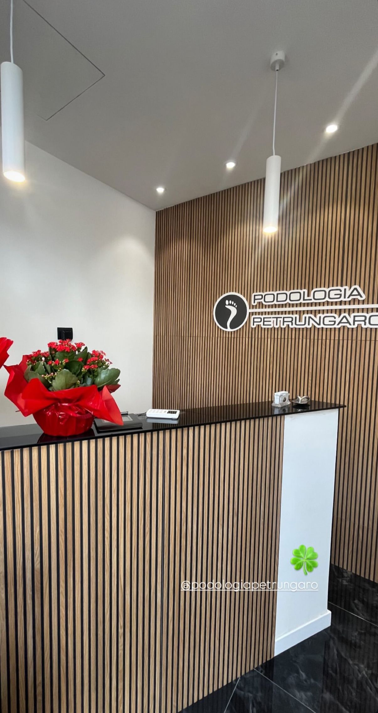 Settimio Fabrizio Petrungaro-1