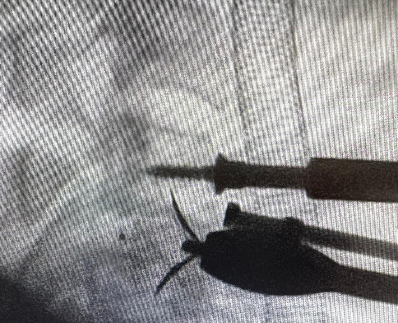 Cristina Hostalot Panisello-3