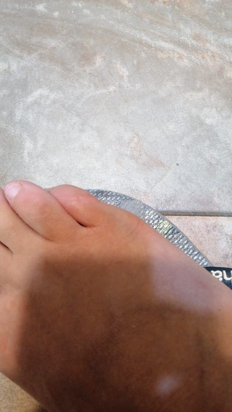 Kassandra Nicolosi-151