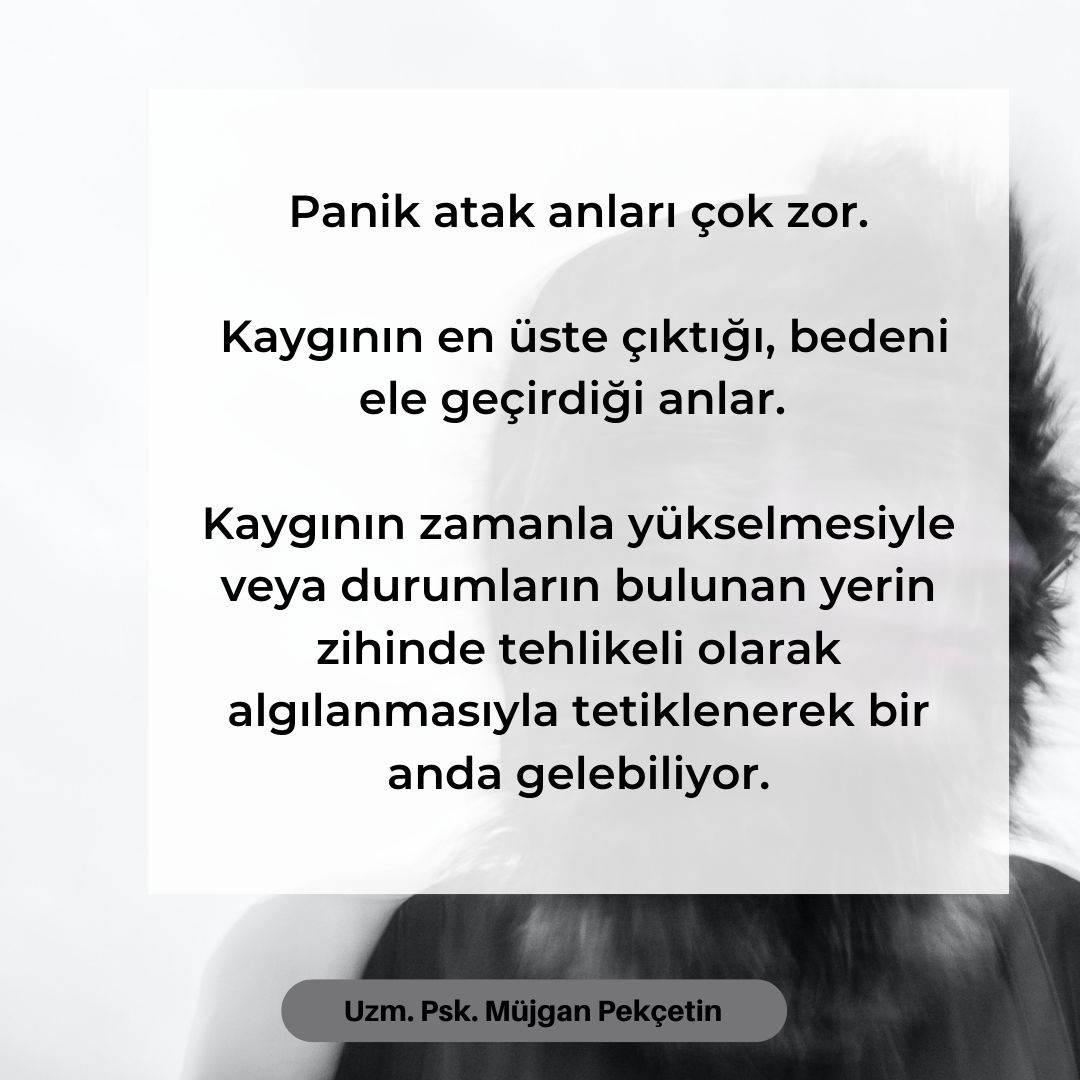 Müjgan Pekçetin-6
