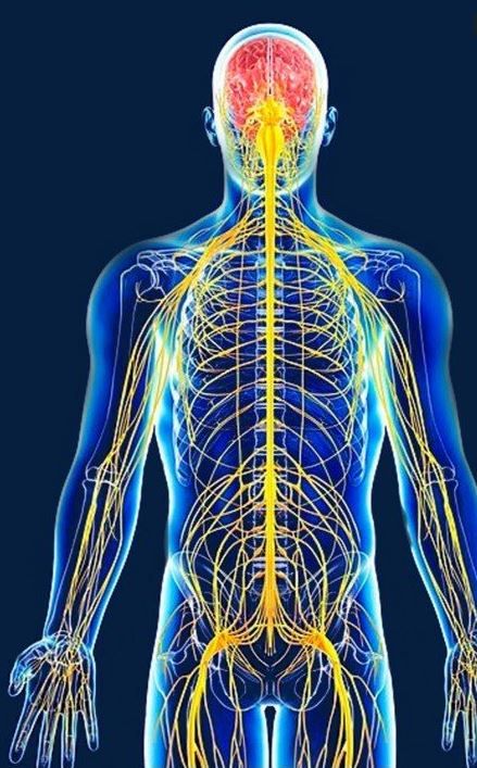 Miguel García Bellón-8