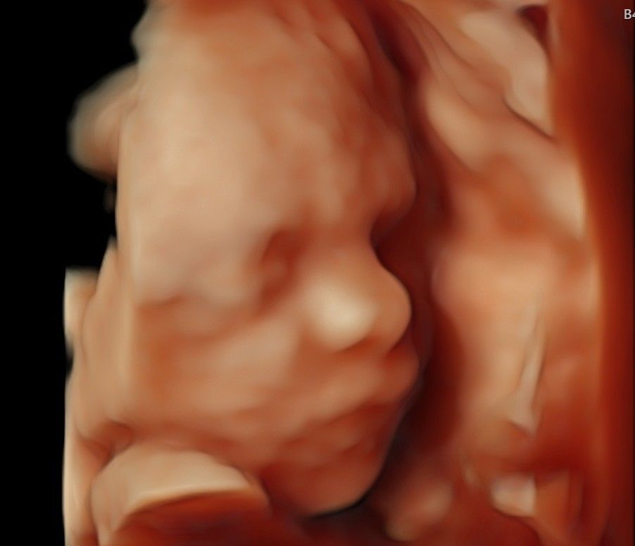 Katarzyna Mikołajczyk-2