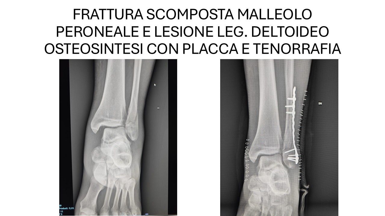 Bartolomeo D'amora-9