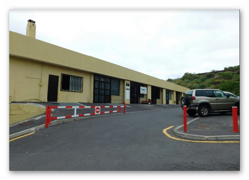 Alejandra Liliana Tavio Aguilar-3