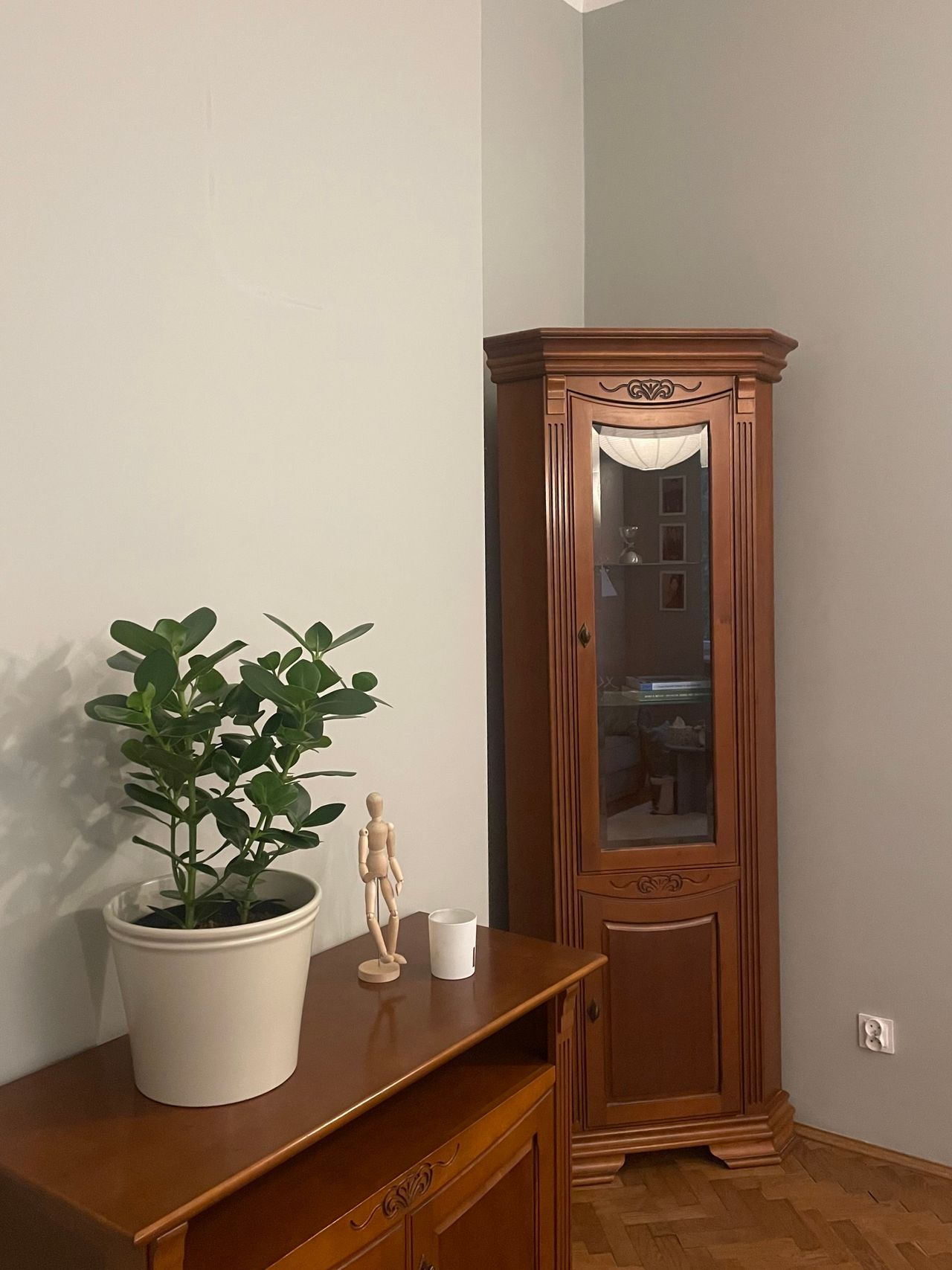 Katarzyna Serafinowicz-1