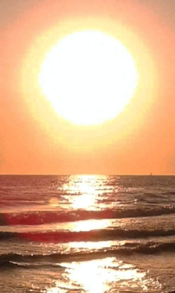 Michele Locuratolo-9