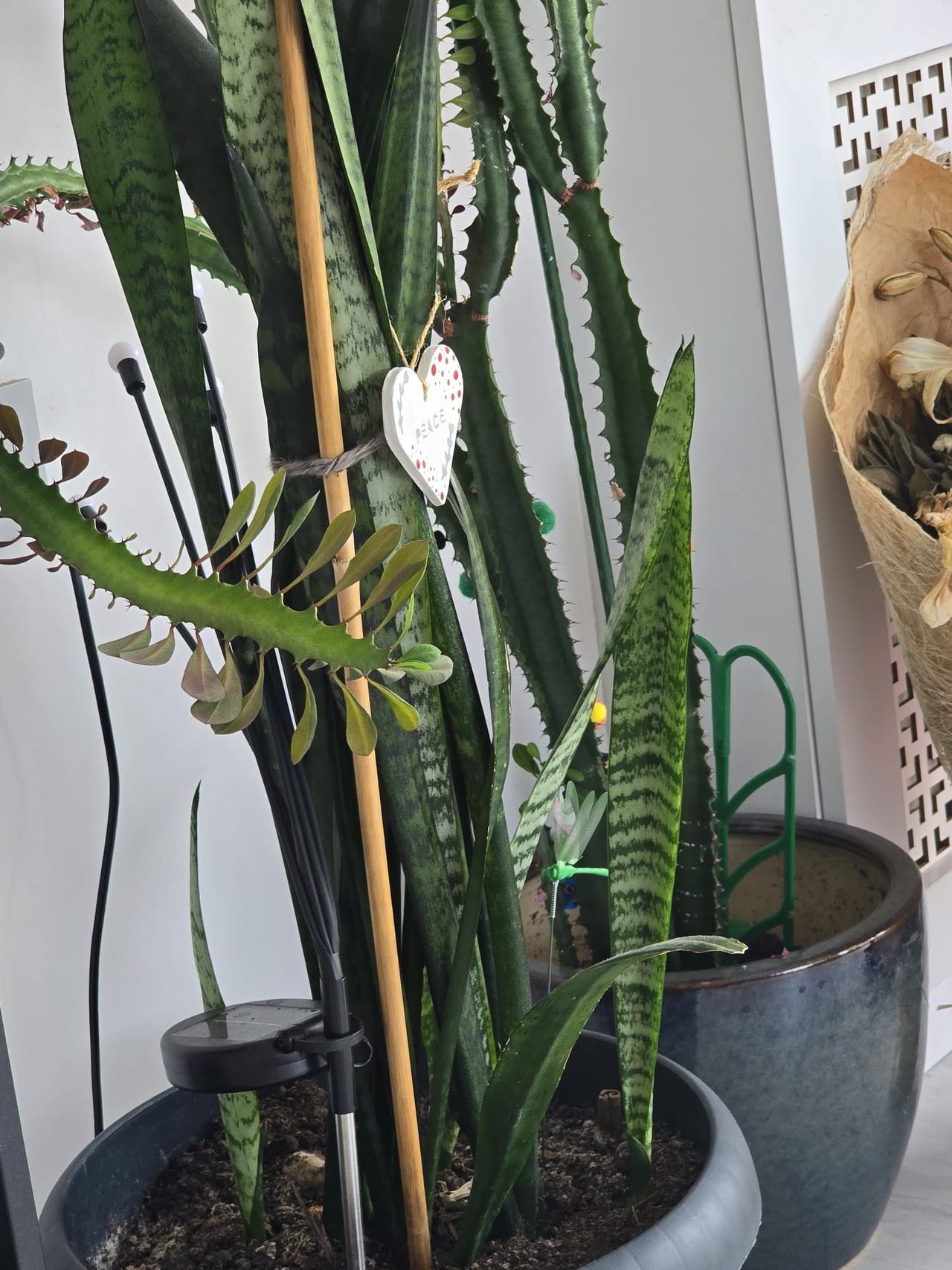 Bengisu Üzel Tanrıverdi-2