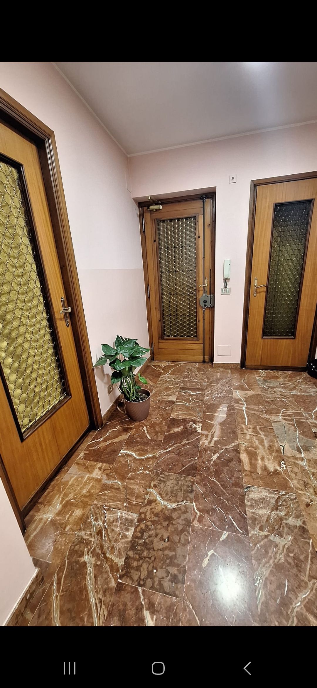 Alberto D'agostino-4