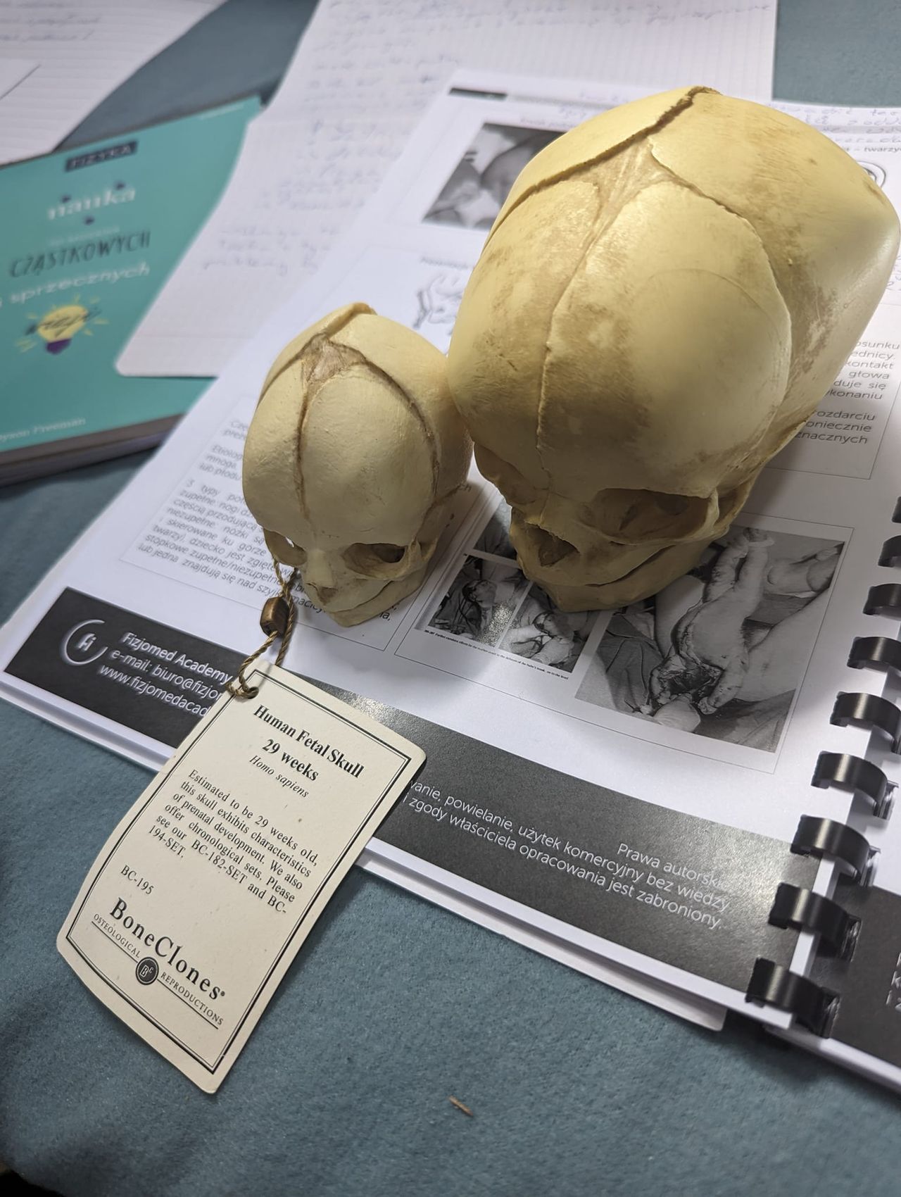 Wojciech Czarnecki-12