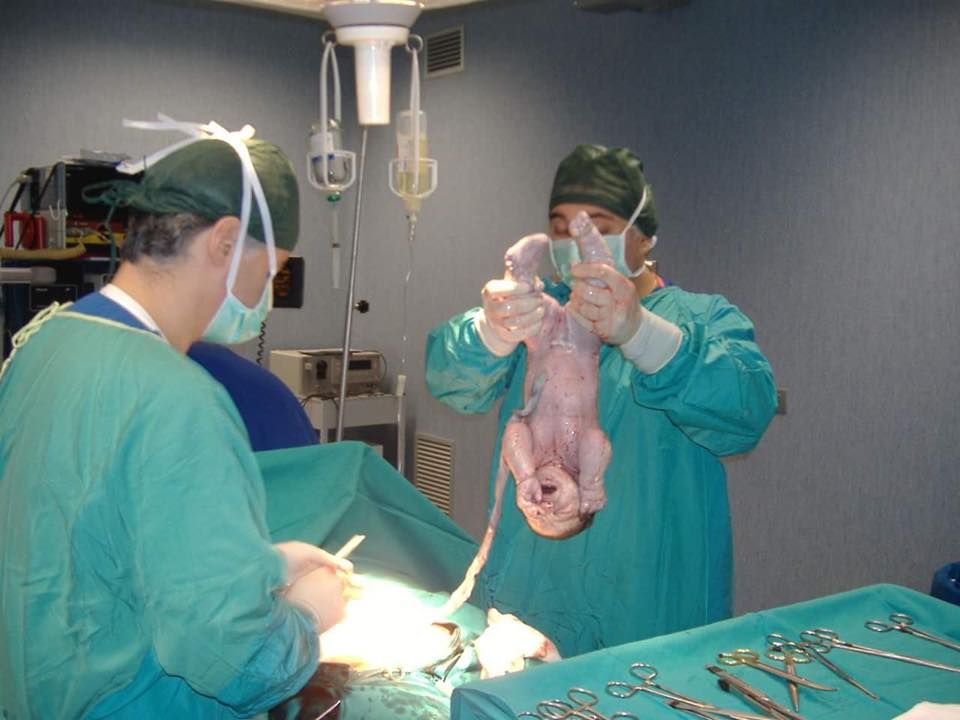 Vincenzo Piscitelli-0