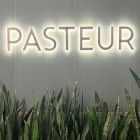 Rx Centro Diagnostico Pasteur-0