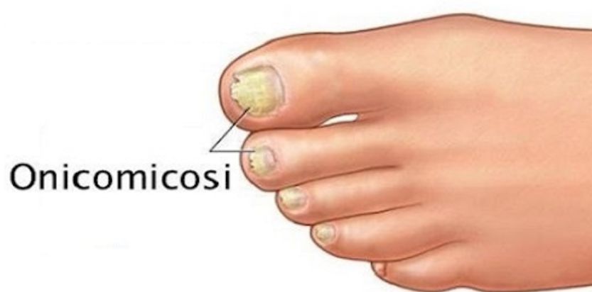 Francesca Montaquila-9