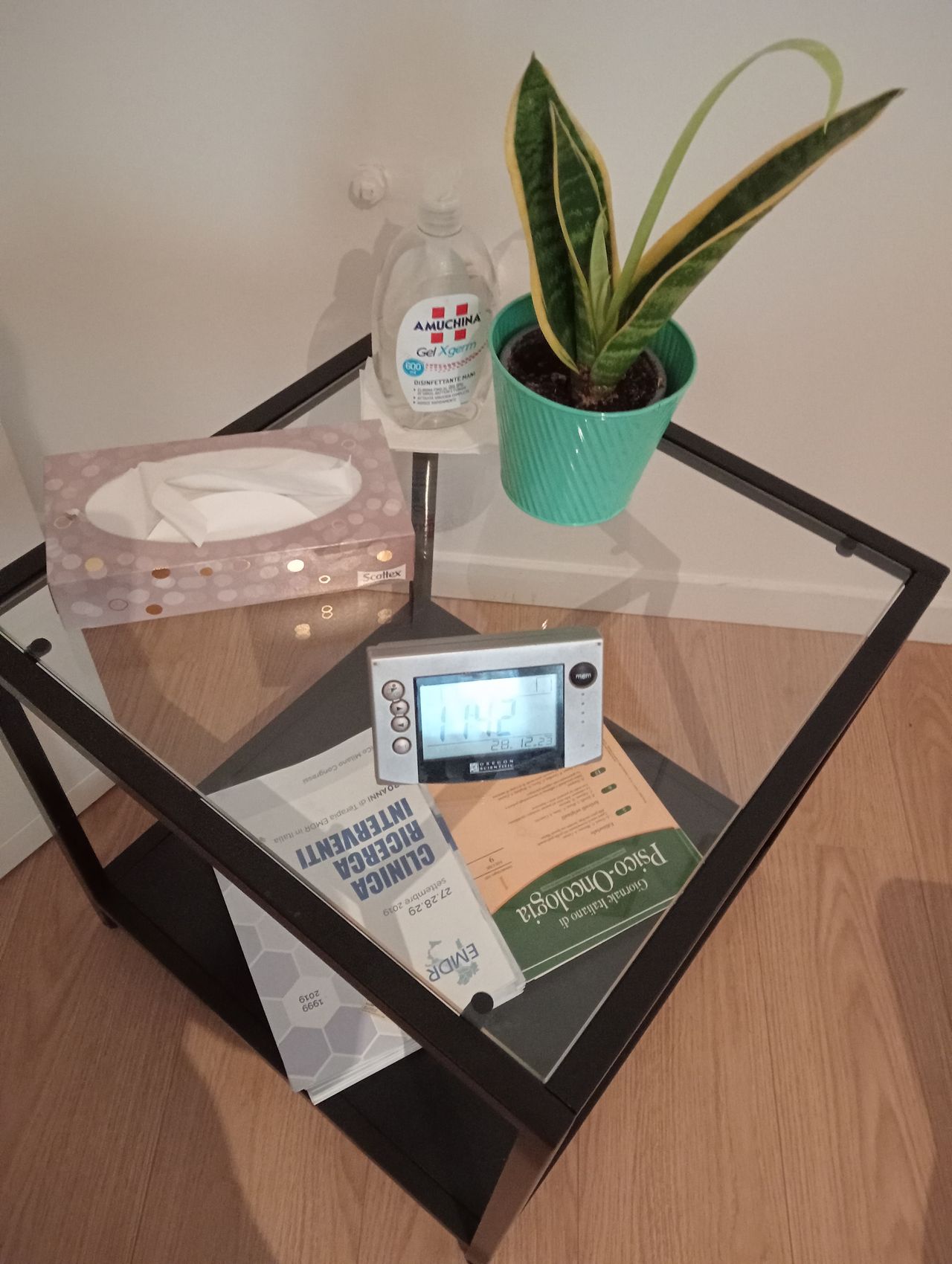 Alessia Signorelli-6