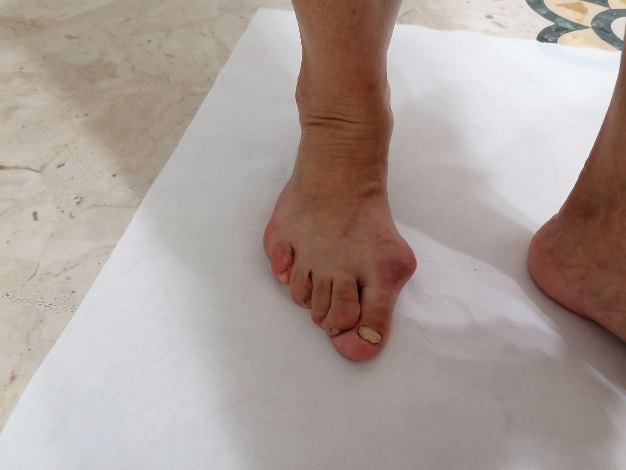 Kassandra Nicolosi-325