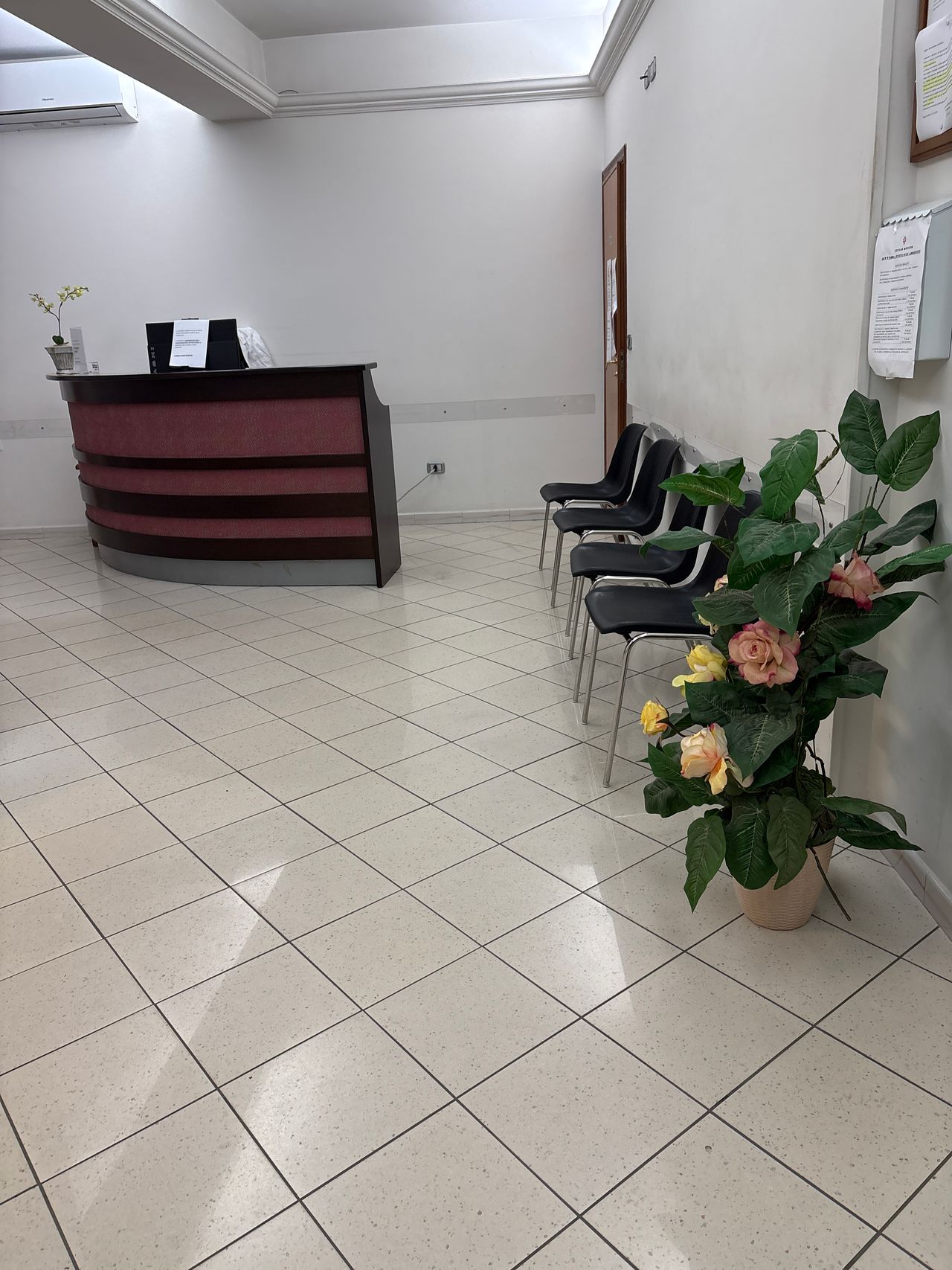 Pia Francesca Oliveto-10