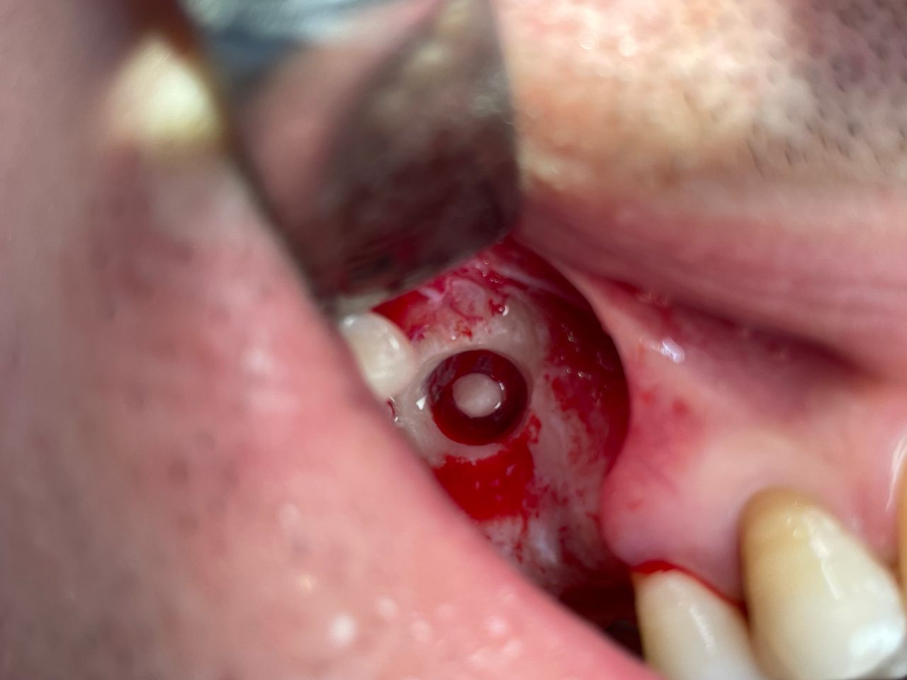 Cezary Pogorzelski-27