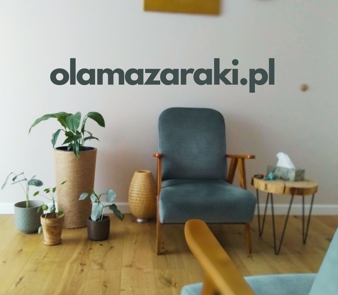 Ola Mazaraki-0