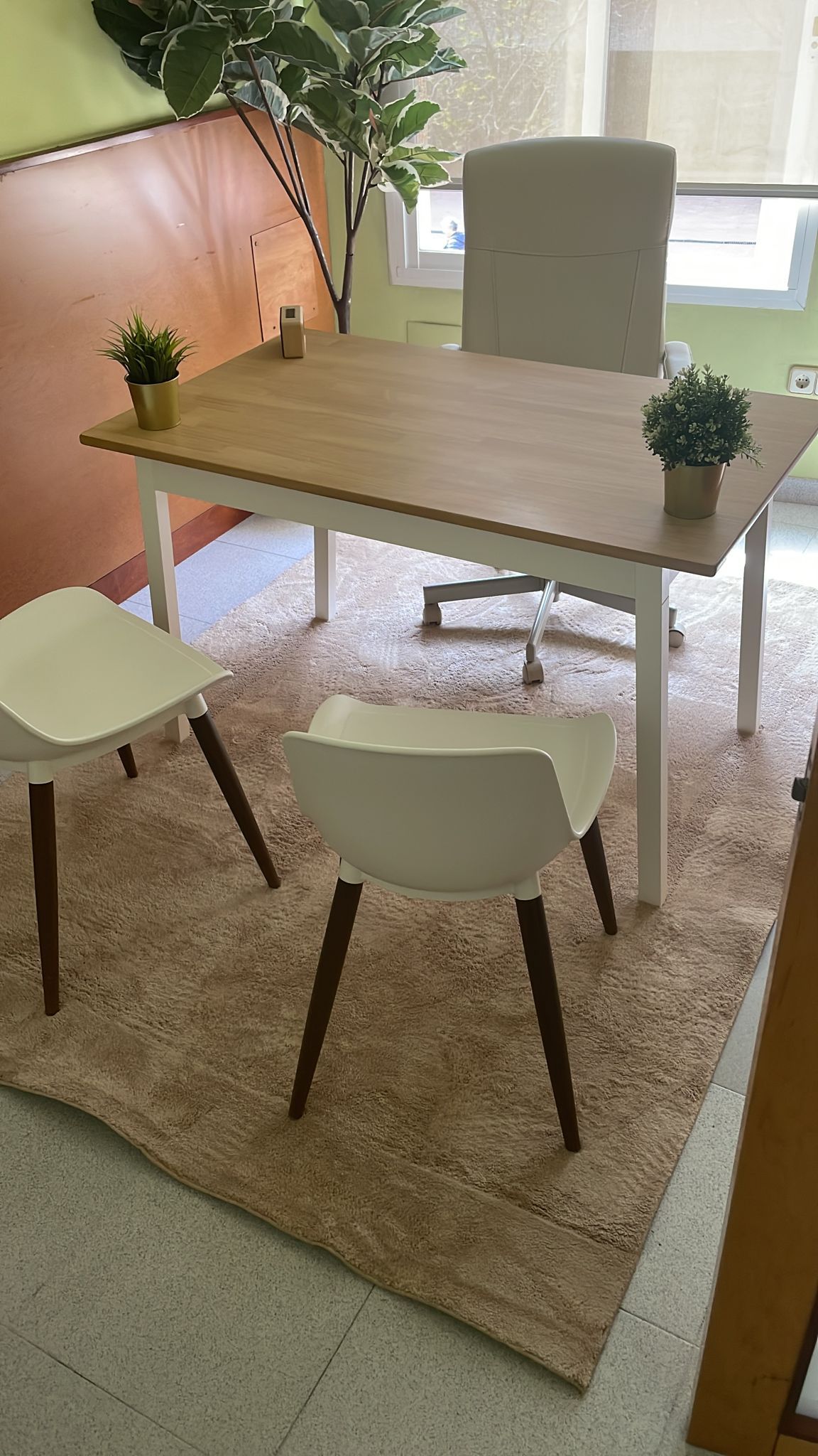 Núria Pérez Roura-1