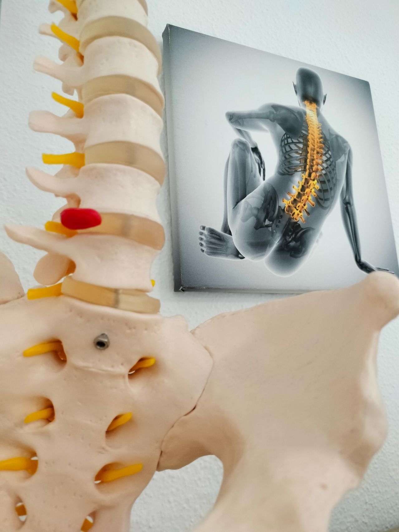 Iera García González-3