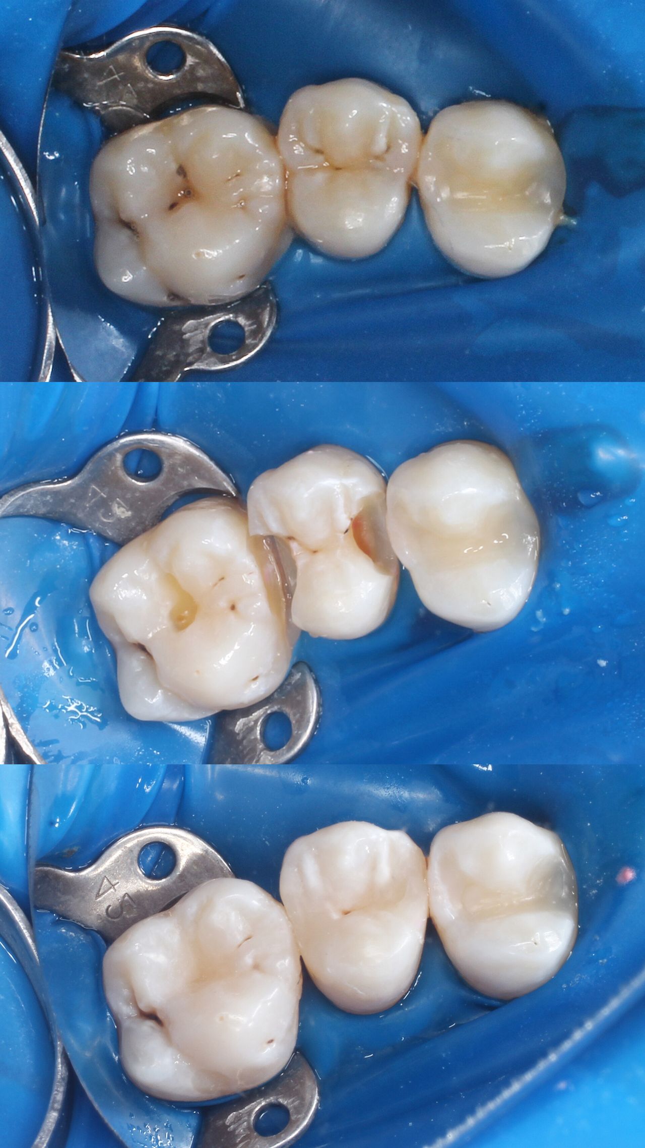 Aleksandra Bobrovskaya-6