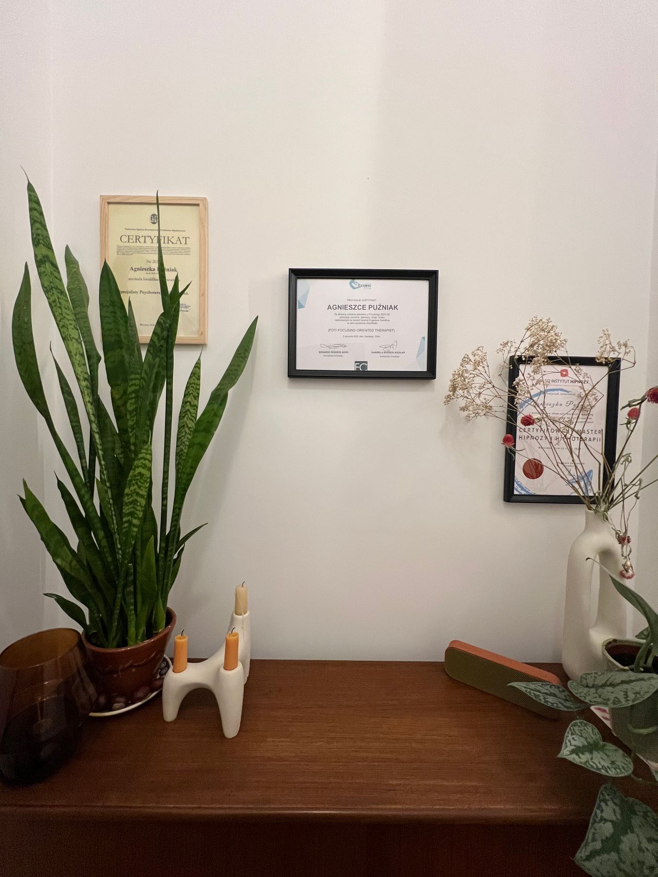 Agnieszka Puźniak-1