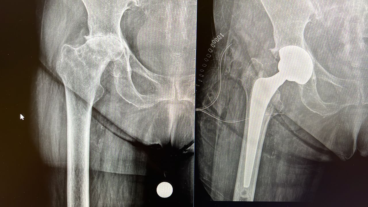 Marco Bargagliotti-9