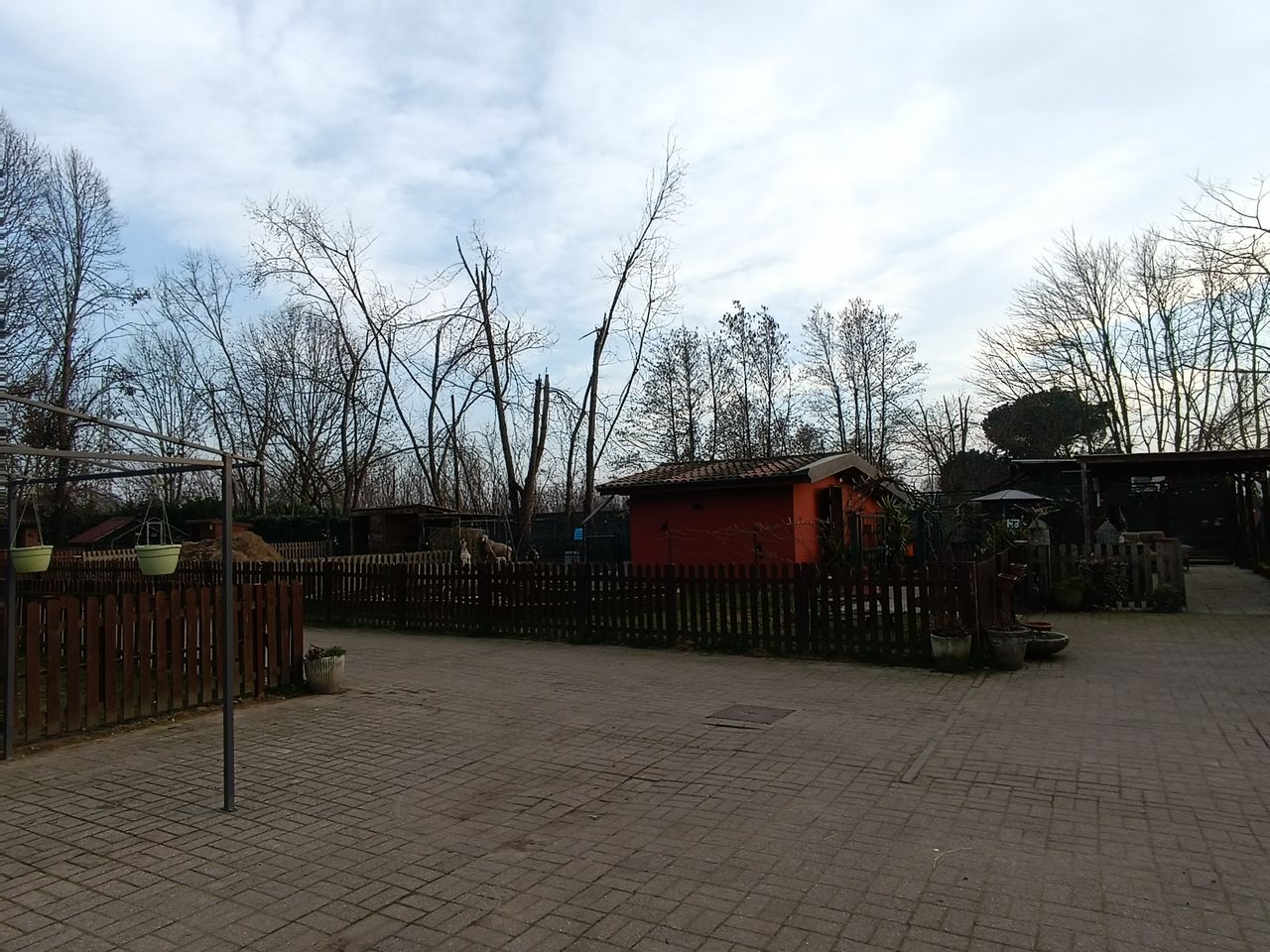 Sonia Sara Civallero-1