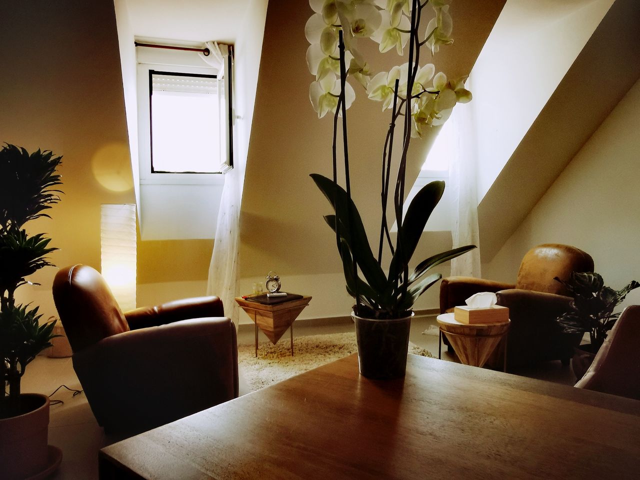 Esther Sánchez Gutiérrez-17