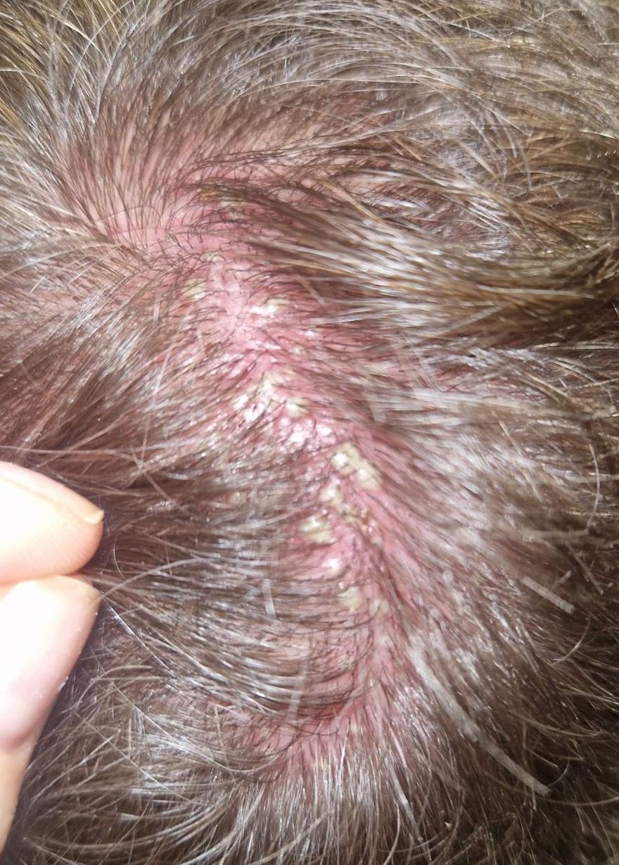 Agnieszka Snarska – Drygalska-2