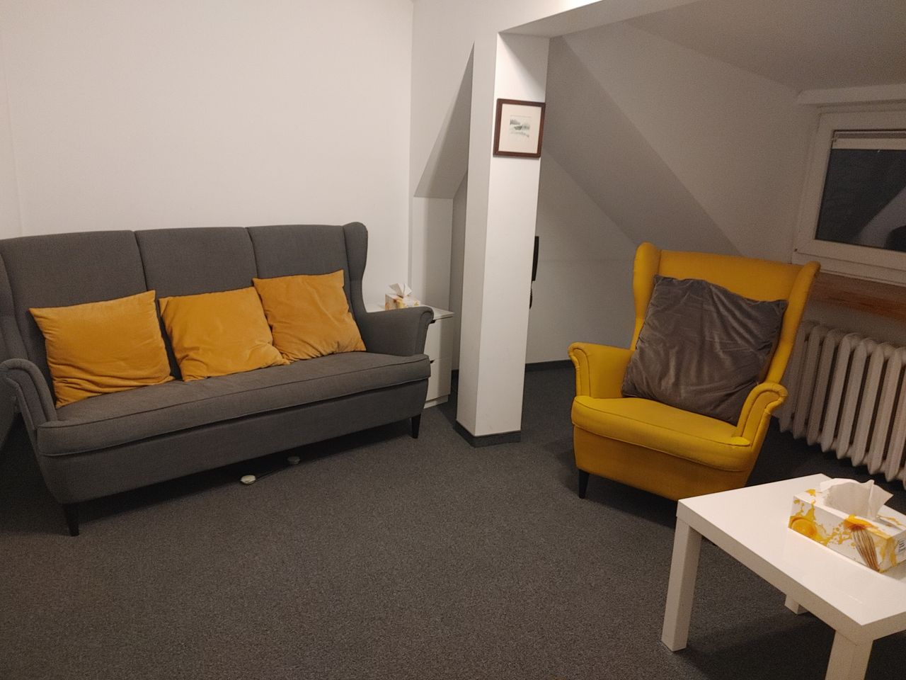 Agnieszka Karolina Laskowska-4