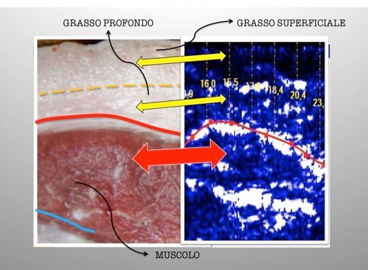 Claudia Colombarini-2