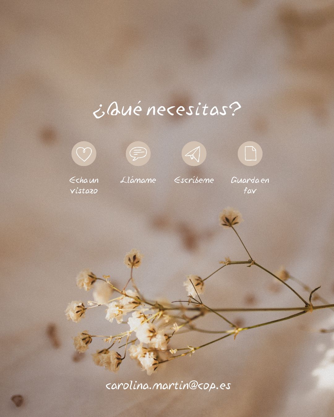 Carolina Martín Franco-1