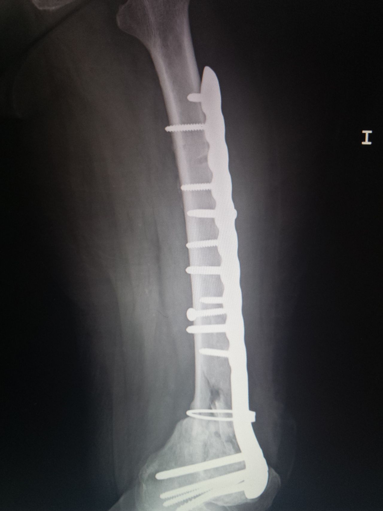 Javier Romero Fernández-4