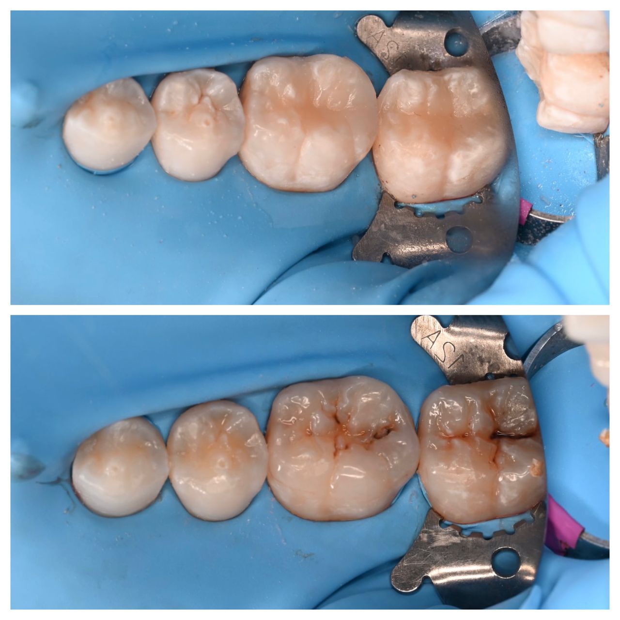 Agnieszka Ciesielska-2