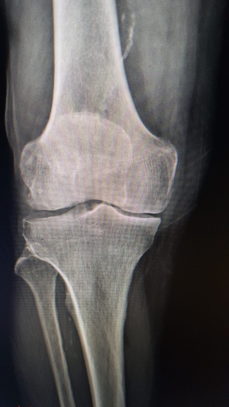 Salvatore Santagata-2