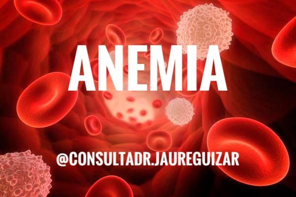 Enrique Jaureguizar Cervera-18