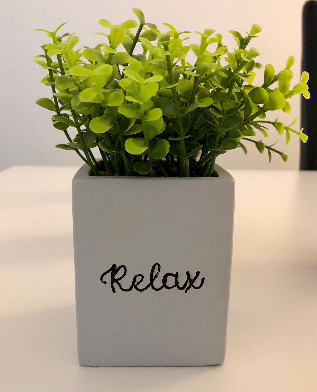 Celia Turiel Trujillo-5